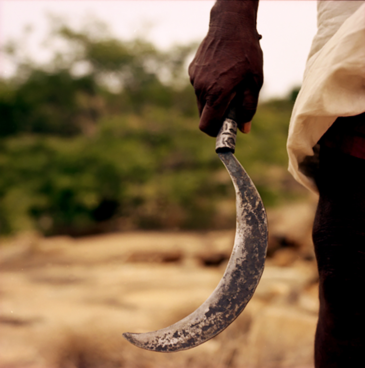 FOTOGRAFIA PERSONAL - CESAR LUCADAMO