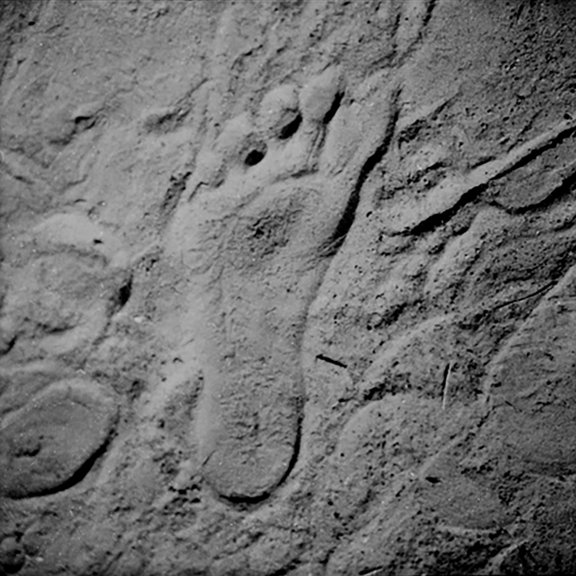 FOTOGRAFIA PERSONAL - CESAR LUCADAMO