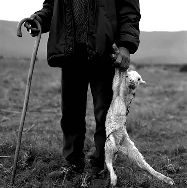 FOTOGRAFIA PERSONAL - CESAR LUCADAMO