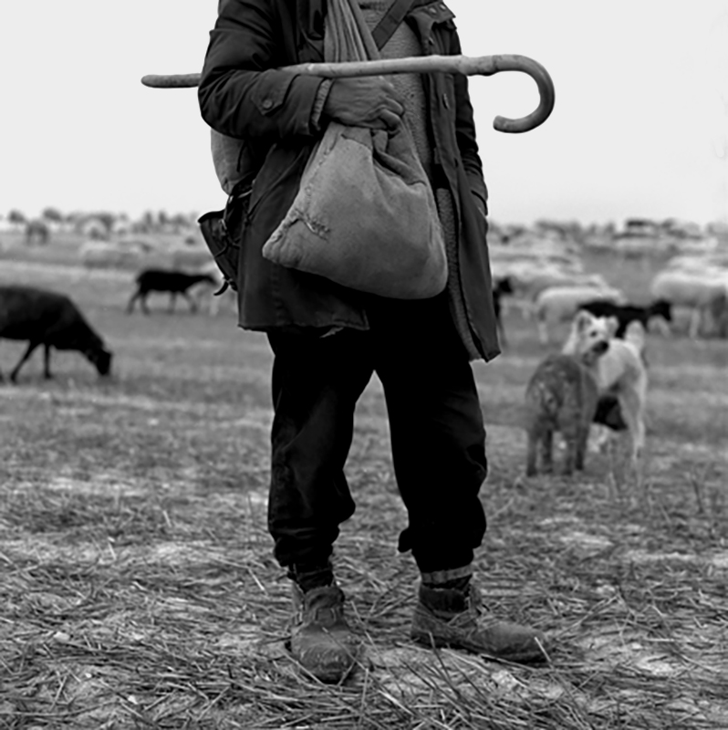 FOTOGRAFIA PERSONAL - CESAR LUCADAMO