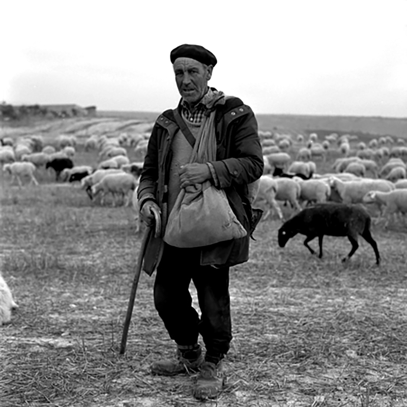 FOTOGRAFIA PERSONAL - CESAR LUCADAMO