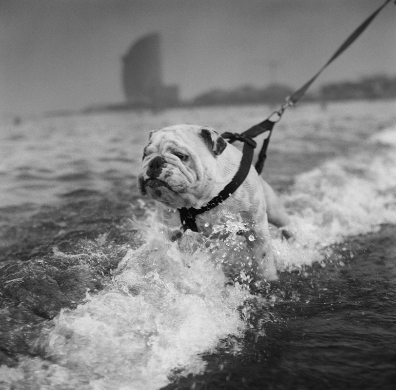 FOTOGRAFIA PERSONAL - CESAR LUCADAMO