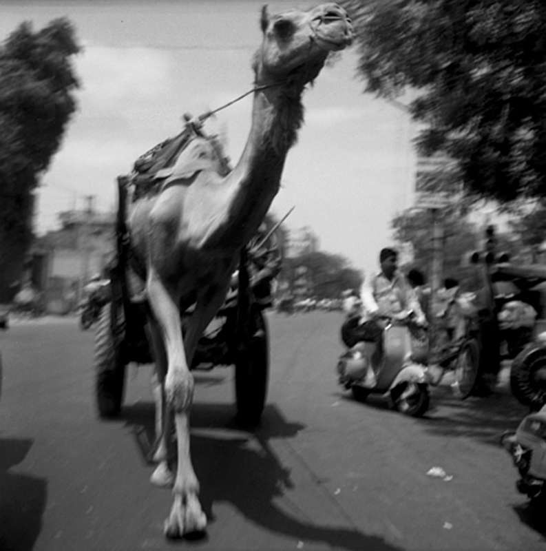 FOTOGRAFIA PERSONAL - CESAR LUCADAMO