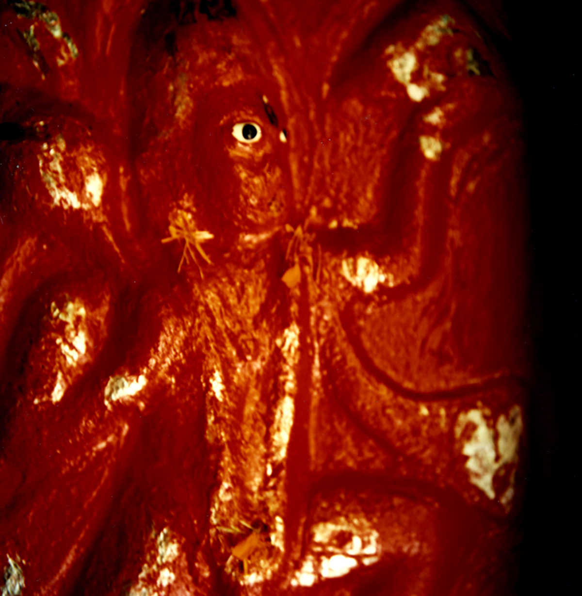 FOTOGRAFIA PERSONAL - CESAR LUCADAMO