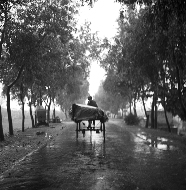 FOTOGRAFIA PERSONAL - CESAR LUCADAMO