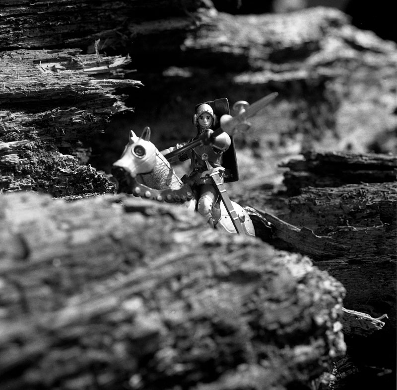 FOTOGRAFIA PERSONAL - CESAR LUCADAMO