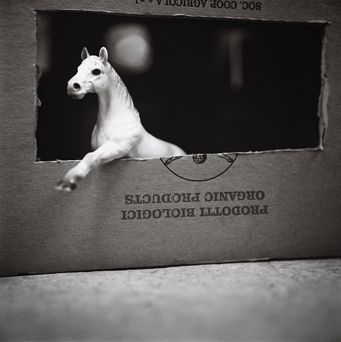 FOTOGRAFIA PERSONAL - CESAR LUCADAMO