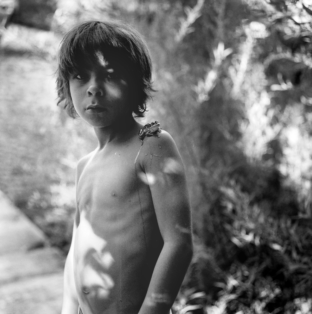 FOTOGRAFIA PERSONAL - CESAR LUCADAMO