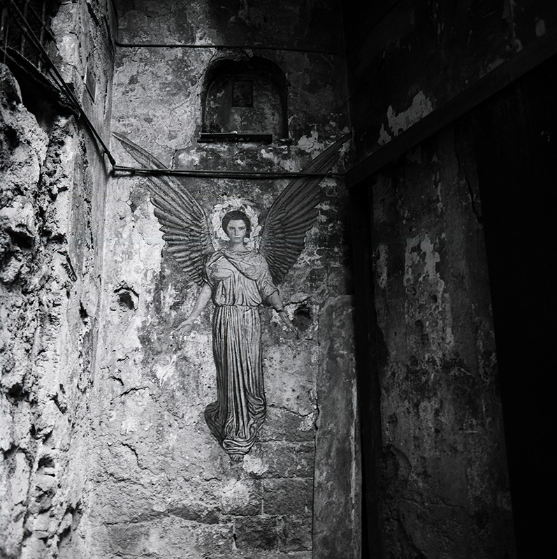 FOTOGRAFIA PERSONAL - CESAR LUCADAMO